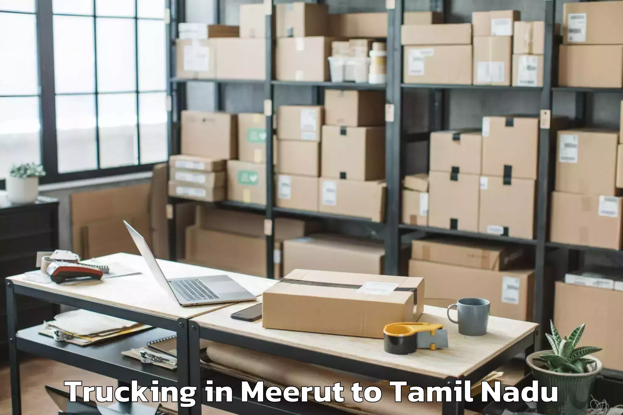 Top Meerut to Kottaiyur Trucking Available